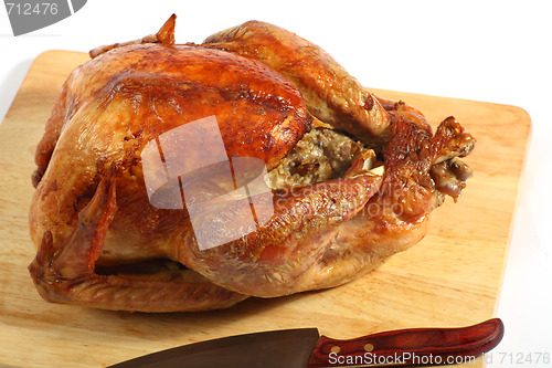 Image of Roast turkey high angle view