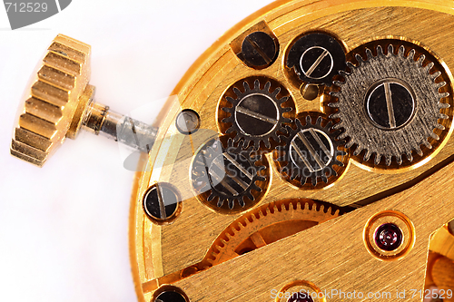 Image of Detail of the inside of a watch