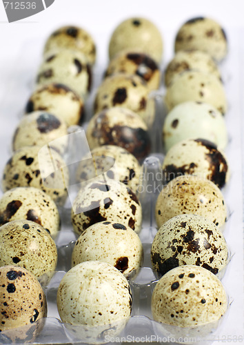 Image of Tray of quails eggs