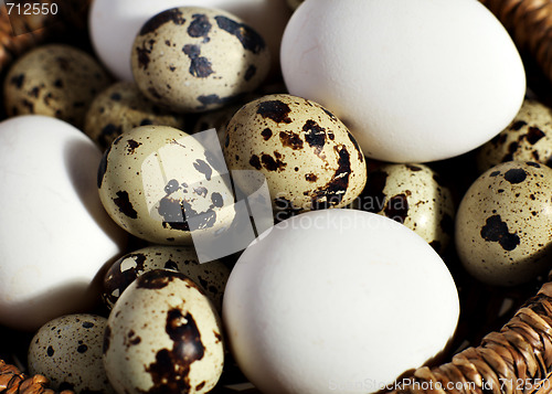 Image of Eggs in a basket