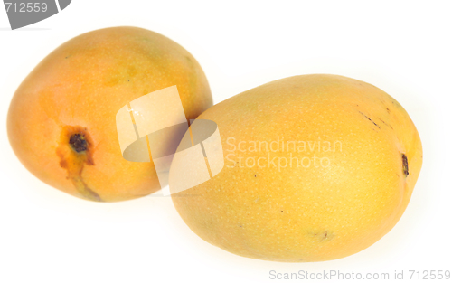 Image of Two mangoes