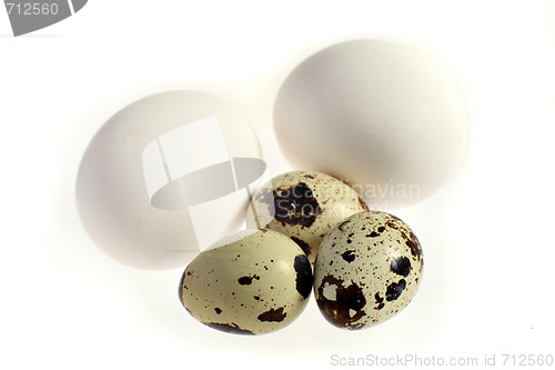 Image of Quails and hens eggs