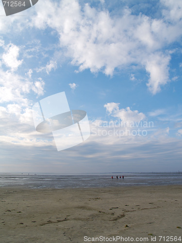 Image of low tide tideland