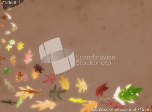 Image of autumn leafs