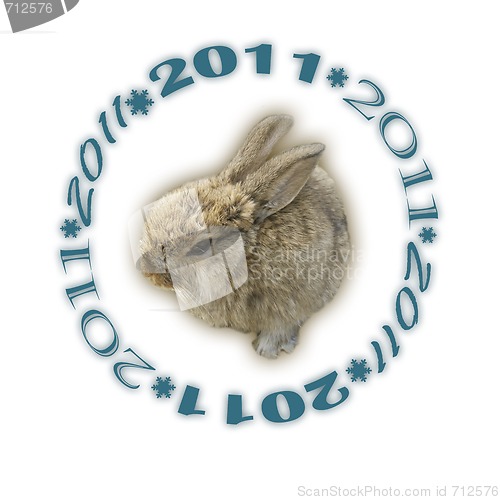 Image of rabbit 2011