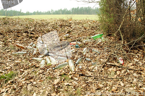 Image of Junkyard in nature.