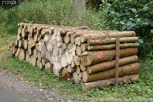 Image of pile of Wood