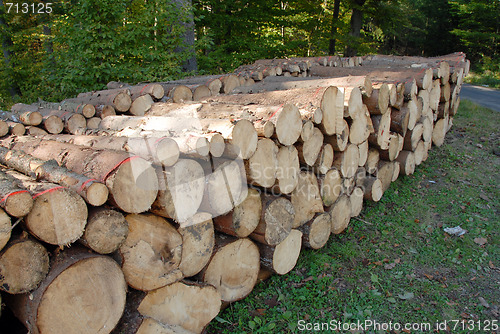 Image of Wood piles