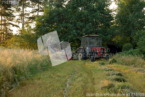 Image of cutting up hay in a field