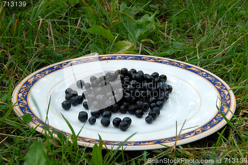 Image of berry on the plate