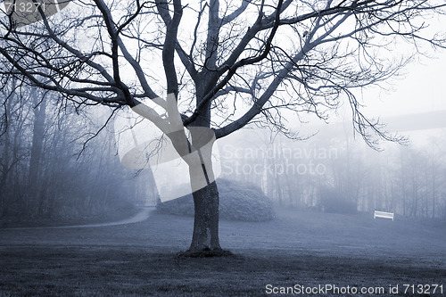 Image of Bare tree