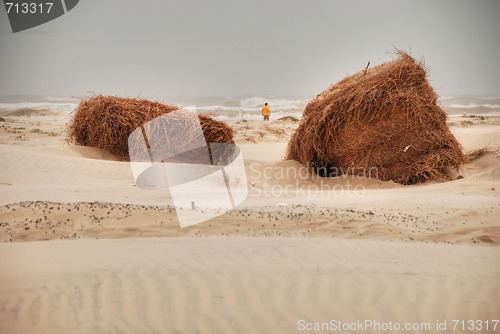 Image of Southa Padre Island Beach, Texas