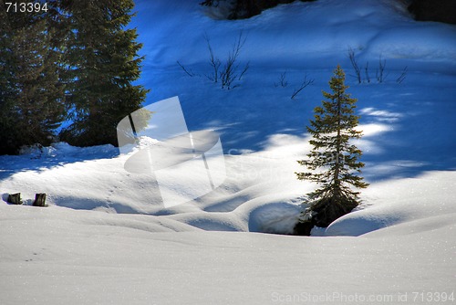 Image of Alps Winter, Dolomites, Italy, 2007