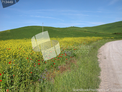 Image of Tuscan Countryside, Italy