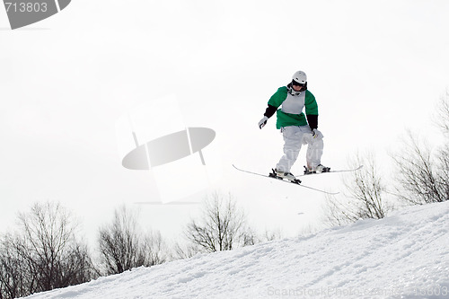 Image of Freestyle Skier