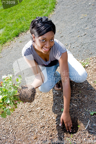 Image of Woman Planting Flowers