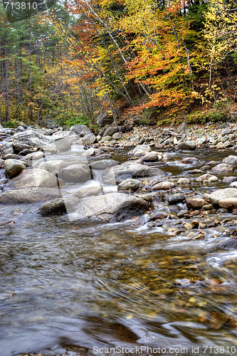 Image of Autumn River Foliage