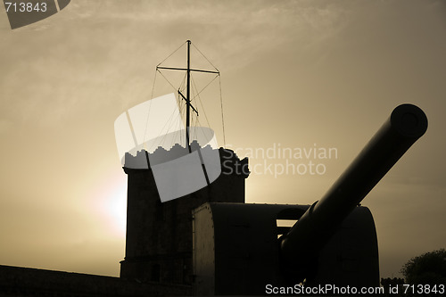 Image of Cannon on the castle