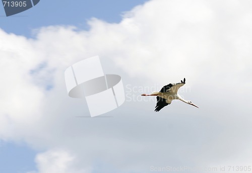 Image of Lone stork flying across the sky