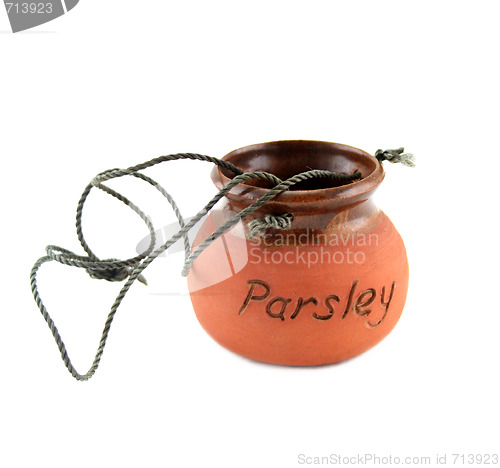 Image of Parsley Pot