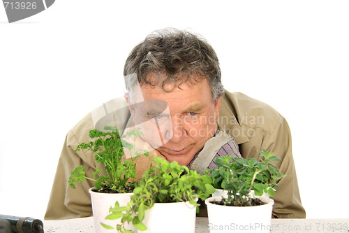 Image of Wondering Nurseryman