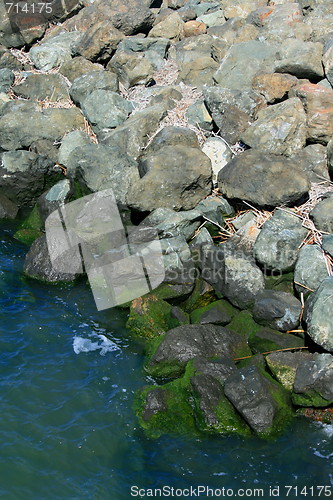 Image of Rocky Shore