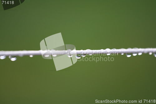 Image of Washing Line