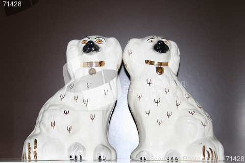 Image of Dogs in white with collar