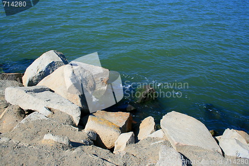 Image of Rocky Shore