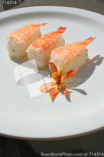 Image of Shrimp Sushi