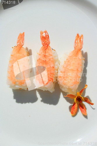 Image of Shrimp Sushi