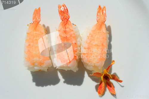 Image of Shrimp Sushi