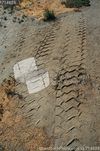 Image of Tire Tracks