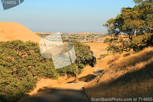 Image of Windy Road into a City