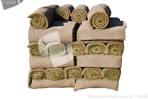 Image of Rolls of sod isolated on white background