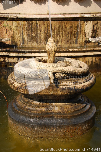 Image of Antique snake fountain