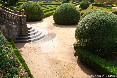 Image of Beautiful ornamental garden with green bushes