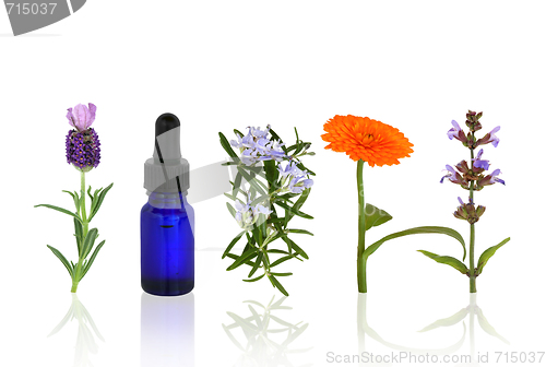 Image of Aromatherapy Herbs and Flowers