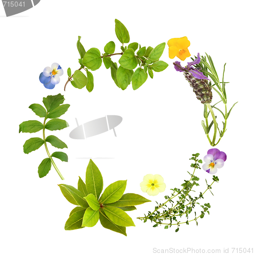 Image of Herb Leaf and Floral Garland