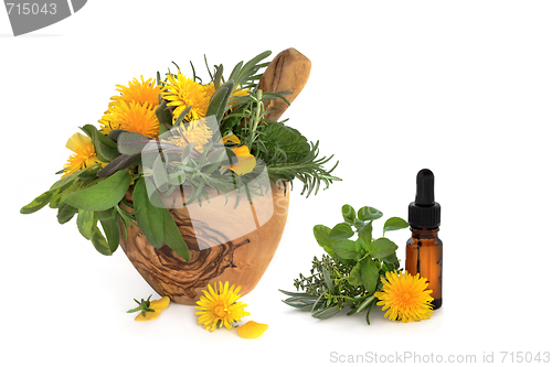 Image of Herb and Wild Flower Therapy