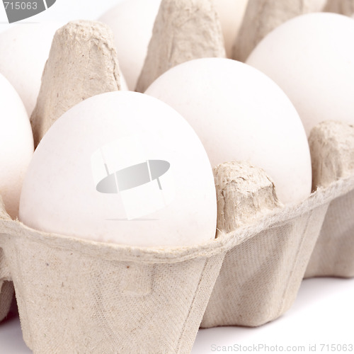 Image of white eggs