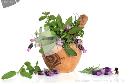 Image of Lavender Herb Flowers