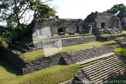 Image of Ruins of the ancient Mayan city of Palenque, in the jungles of C