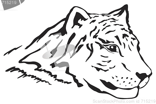 Image of Tiger head