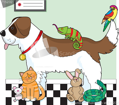 Image of Pet Group