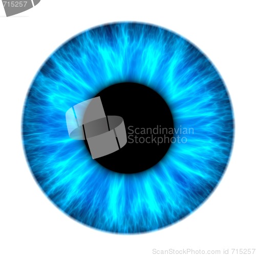 Image of blue iris