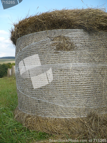 Image of bales of straw