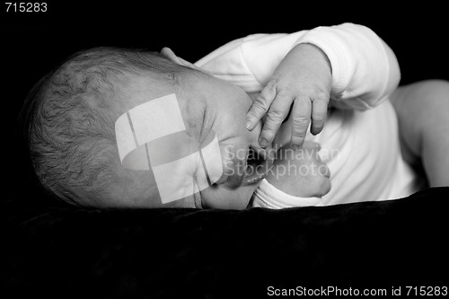 Image of Newborn Baby Boy