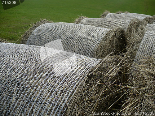 Image of Bales of straw