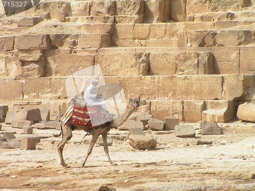 Image of Pyramid - camel rider